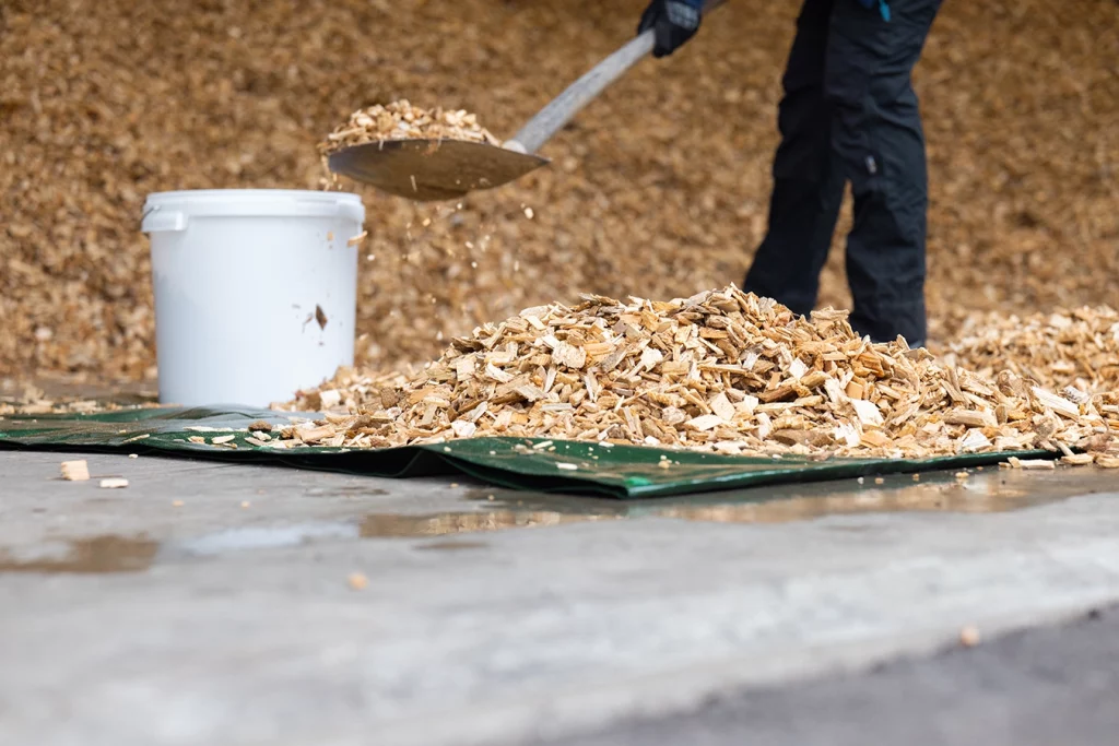 Mit einer Schaufel wird Altholz in einen Eimer geschaufelt, um danach eine Probe zu machen.