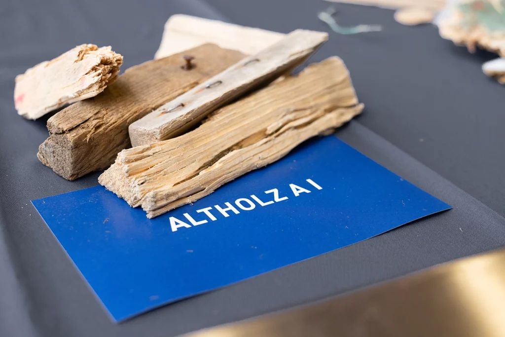 Beispielbild mit Altholz der Kategorie A I