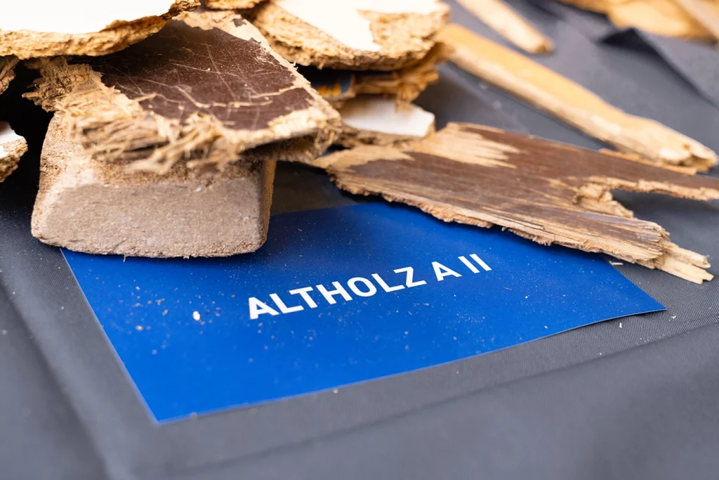 Beispielbild mit Altholz der Kategorie A II