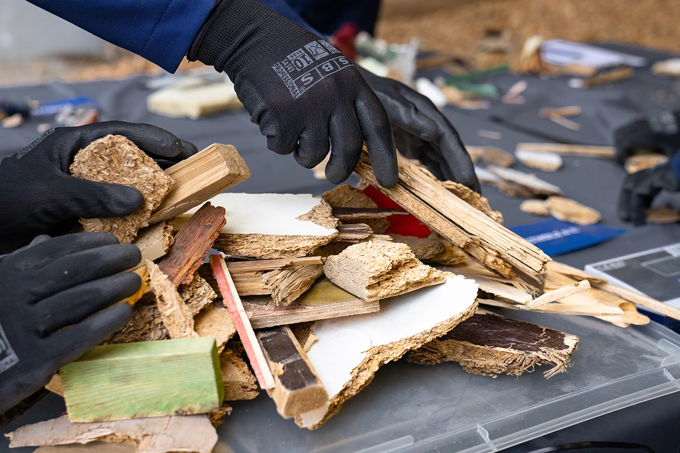verschiedene Kategorien von Altholz auf einem Tisch